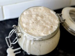 Sourdough Starter